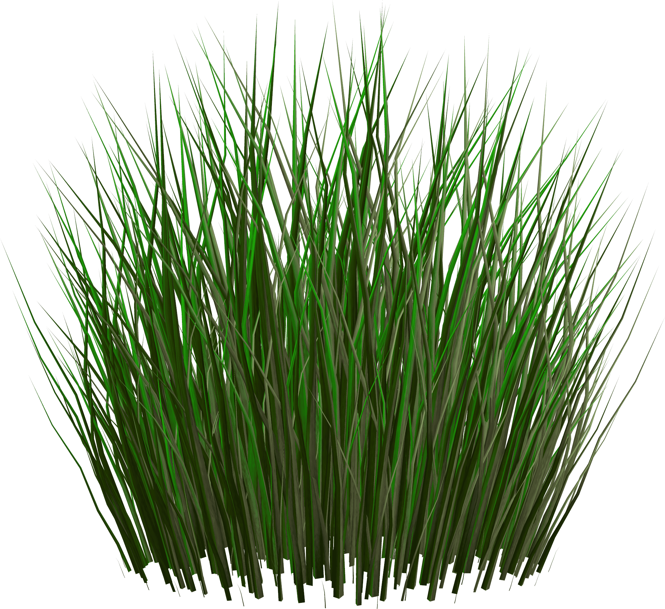 Graszaad